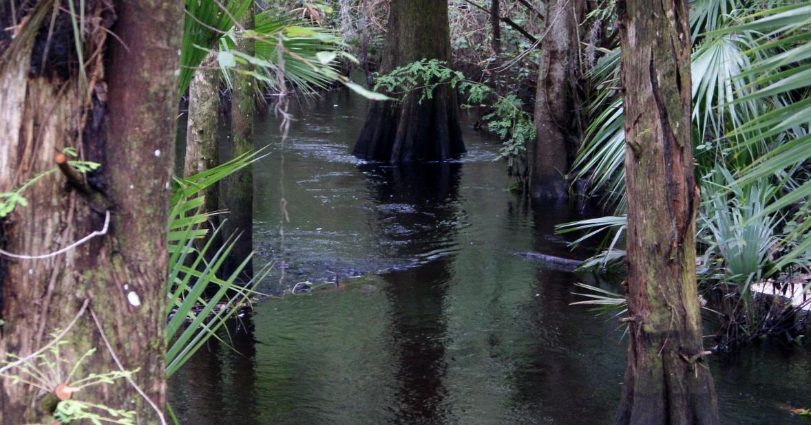 Environmental Learning Lab — a precious jewel | News Archives | yoursun.com