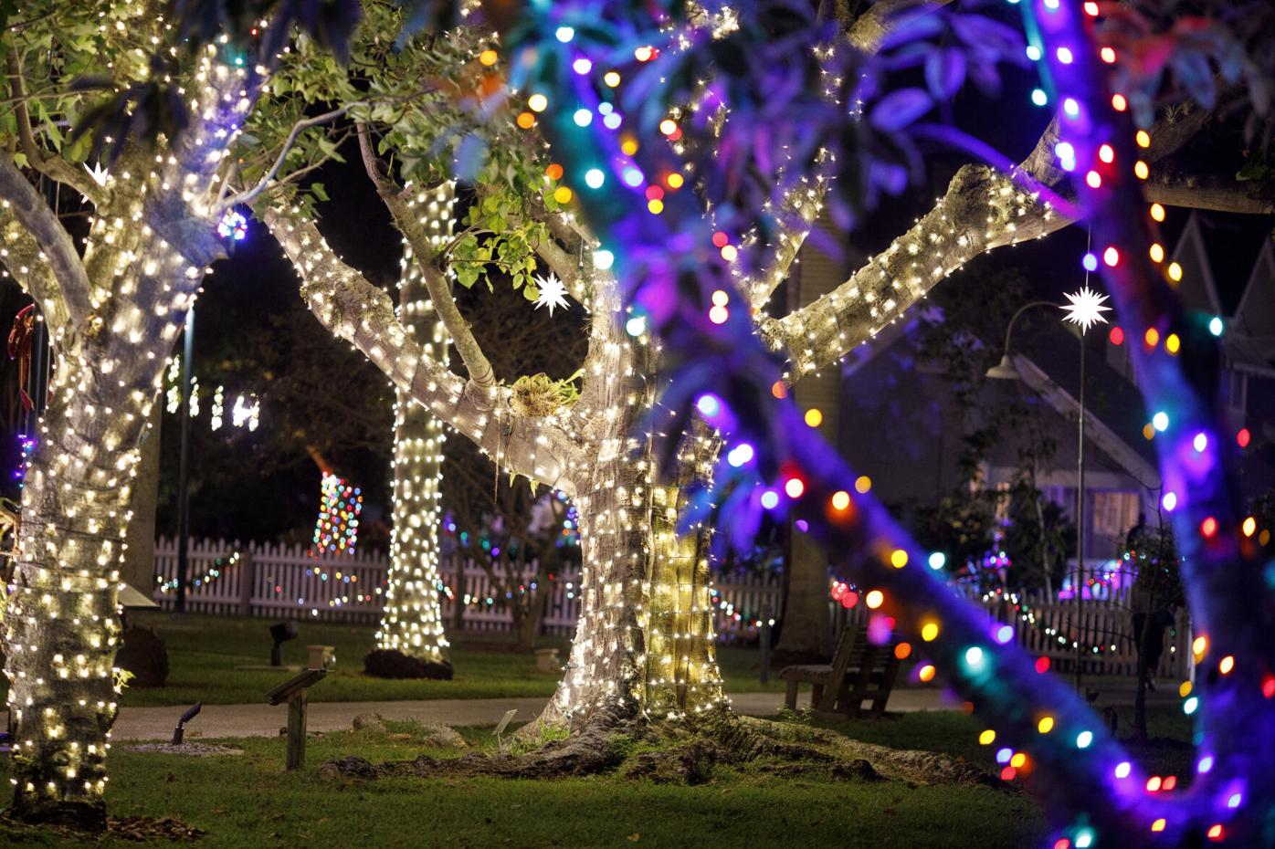 ‘Holiday Nights’ at Edison and Ford Winter Estates