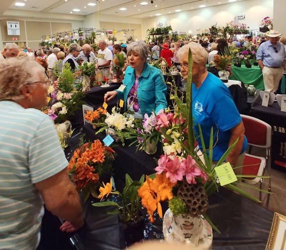 Venice Orchid Club Show Returns This Weekend News Yoursun Com