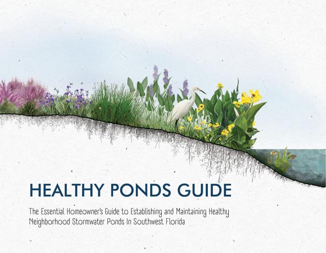 60,000 trees just the start of IslandWalk's pond program News