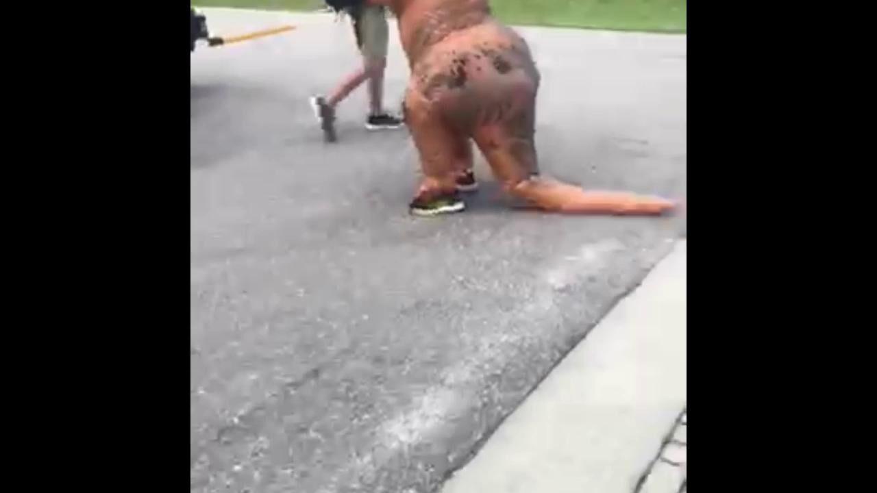 T Rex Parents Greet Kids At School Bus Education Yoursun Com