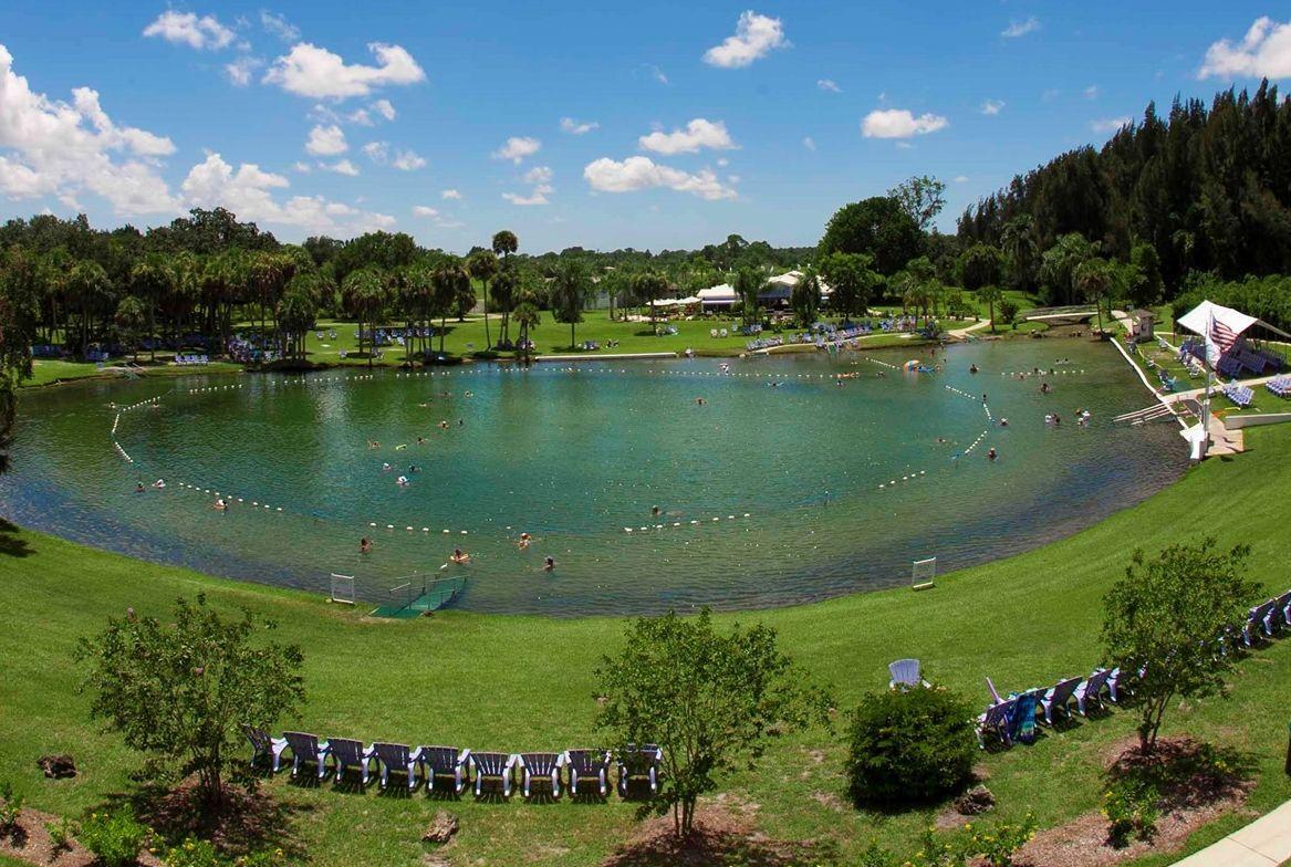 Alligators prompt Warm Mineral Springs closing | News | yoursun.com