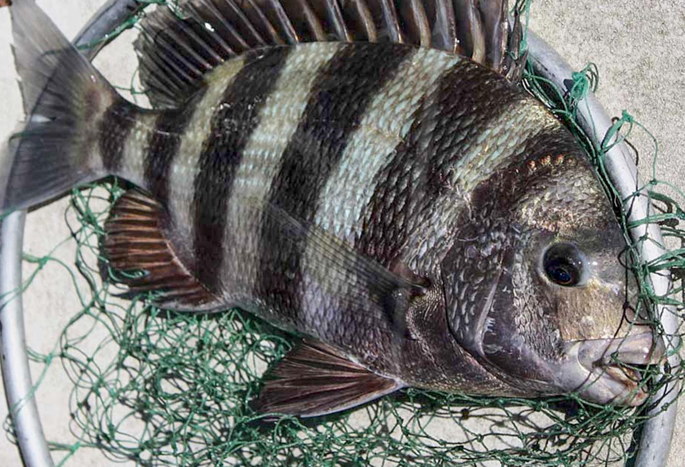 Getting Back To The Pattern Can Somebody Tell This Winter To Just Get With The Program Waterline Yoursun Com