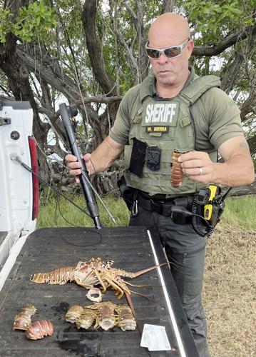 Oldsmar man charged with lobster violations | APG State News | yoursun.com