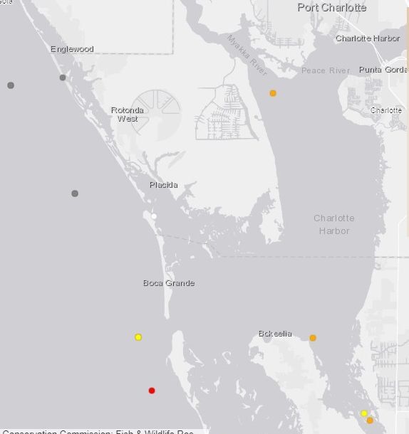 Slight whiffs of red tide at local beaches Englewood Sun