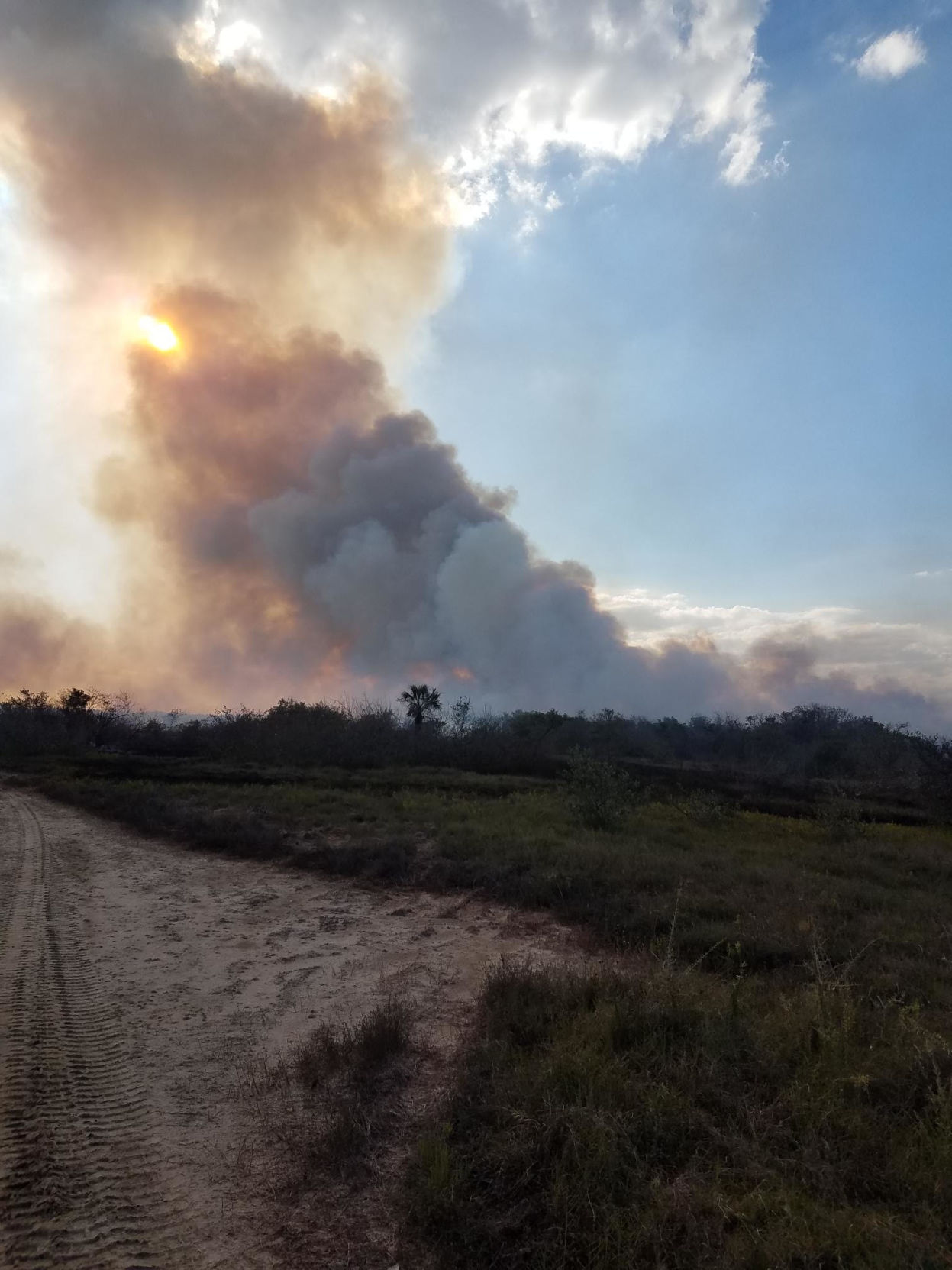 Fire burns more than 200 acres in Charlotte County News
