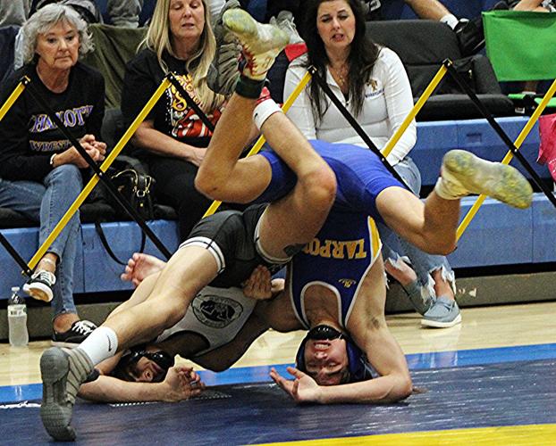 WRESTLING Tarpons conquer Gene Gorman field Sun Preps