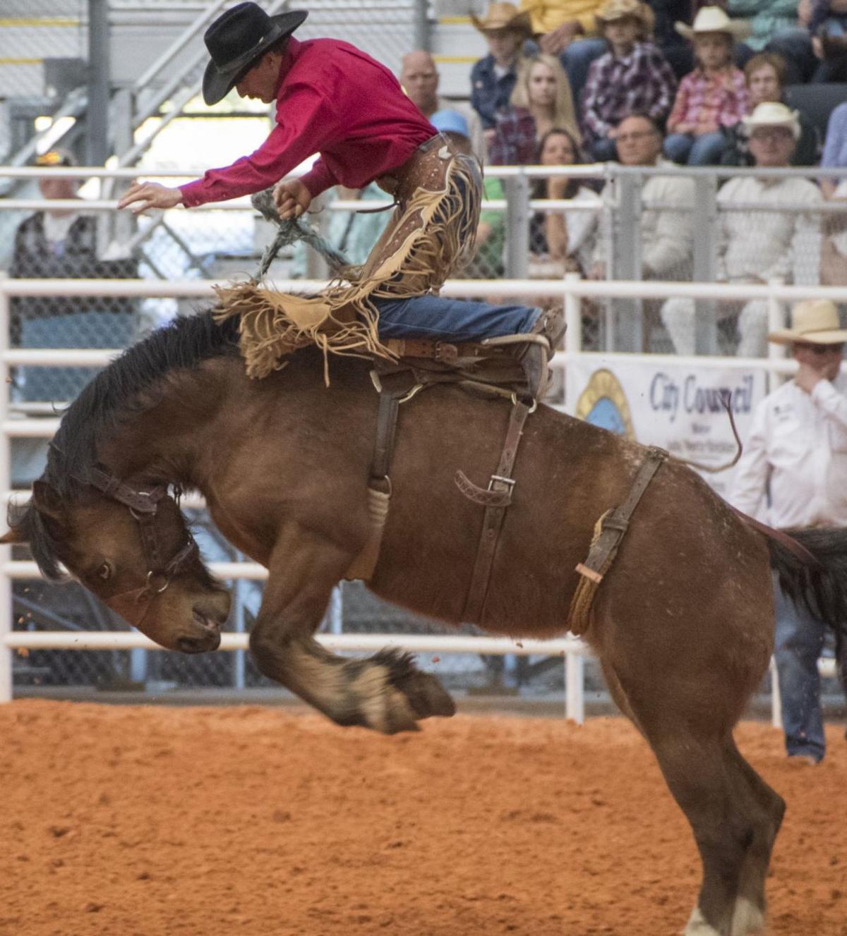 Saddle up! Arcadia AllFlorida Championship Rodeo runs Saturday and
