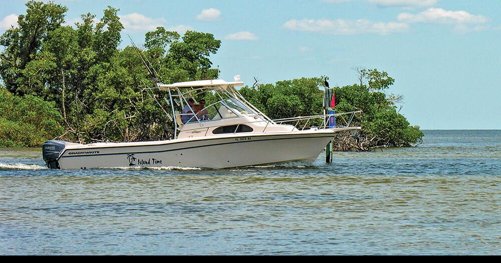 The cheapest insurance