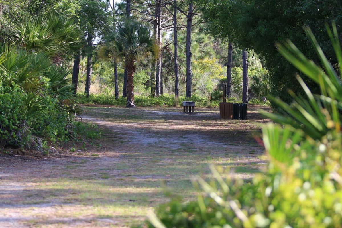 Friends of Pinebrook Park host celebration walk News