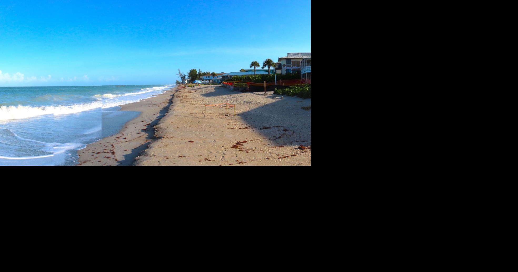 WATERLINE: A summer trip to Florida