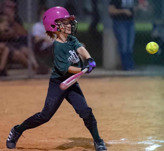 Parks proposal would make Wellfield a sports complex | The Gondolier ...