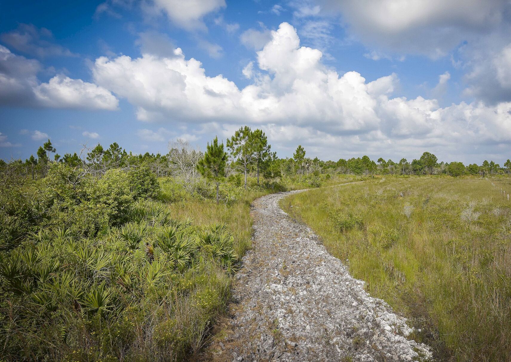 Orange Hammaock Ranch WATERLINE: Florida WildQuest returns | Waterline | yoursun.com