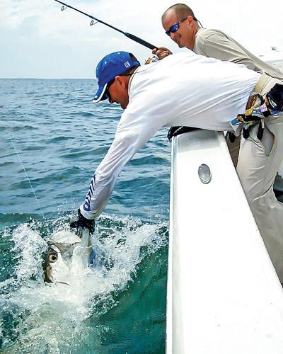 Tarpon at the boat