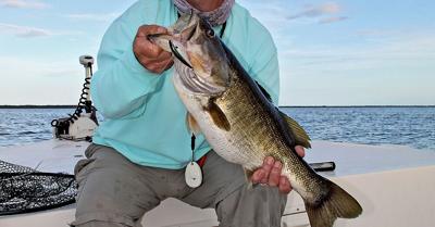 Do you need to reline your reel? | Waterline | yoursun.com