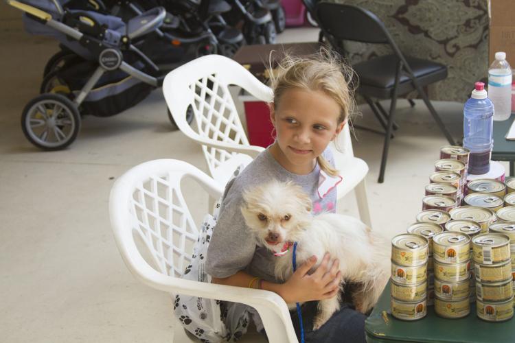 Hope comes to Cats N Dogs News Archives