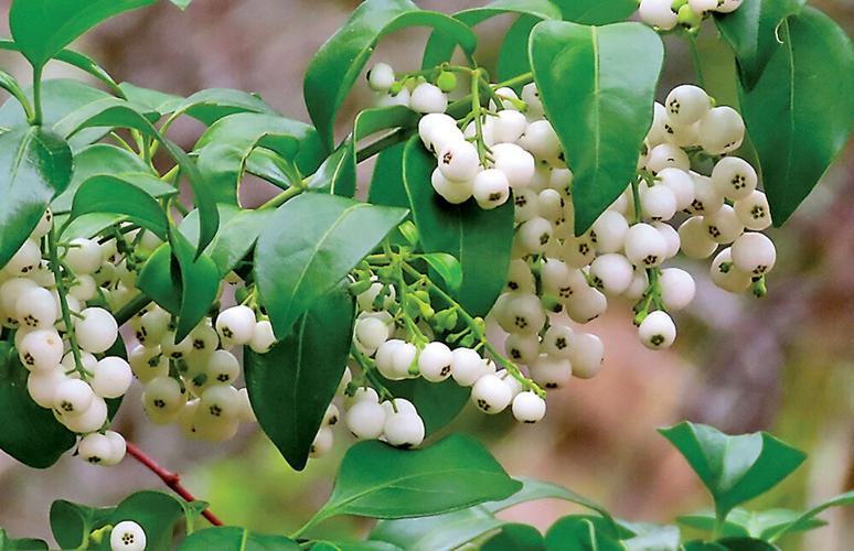 Watch the seasons change Waterline