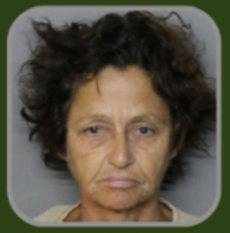 Eight arrested in Punta Gorda drug bust | Port Charlotte News | yoursun.com