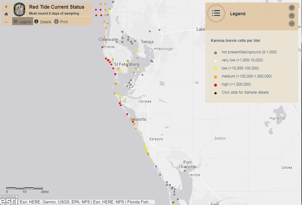 2021 red tide florida map