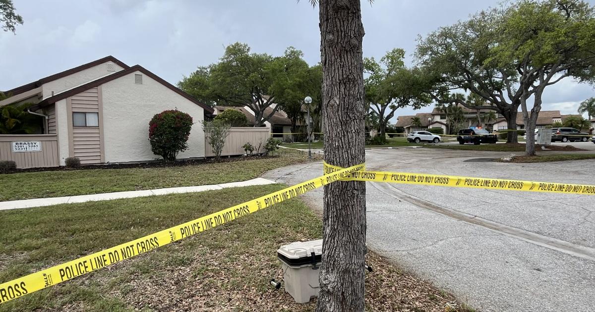 NORTH PORT HOMICIDE: 'There were always some sketchy people'