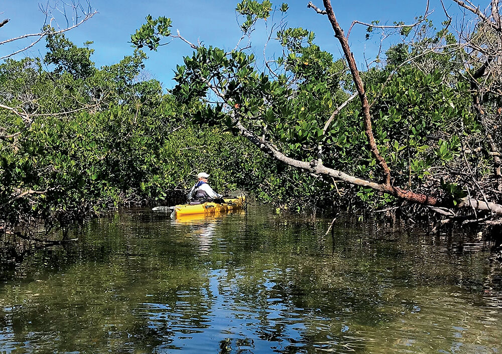 Don Pedro Island Kayaking: Explore Hidden Paradise