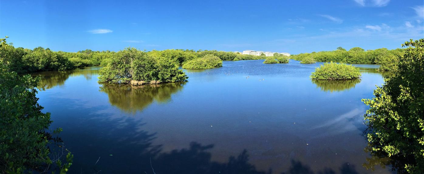 Lemon Lake A salty oasis Features