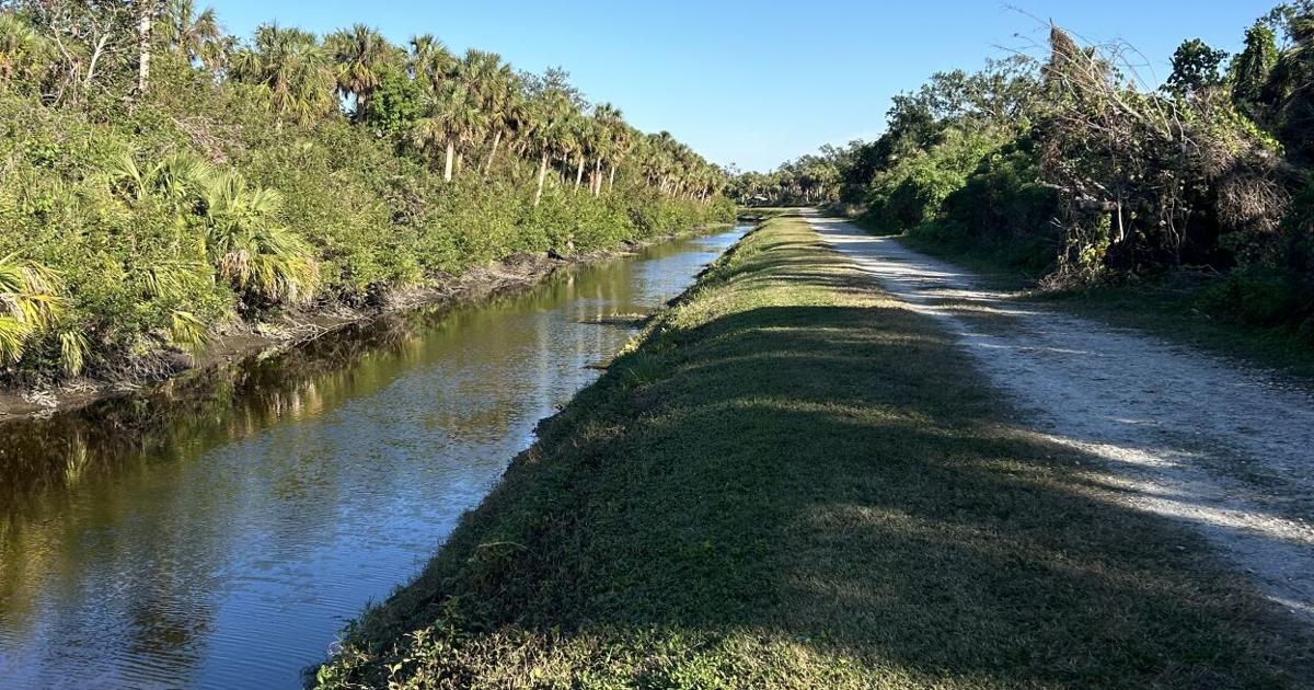 Creek Example Alligator Creek a great example of a 'lost' creek saved | News ...
