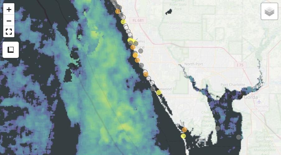 Research highlights progress made in red tide | News | yoursun.com
