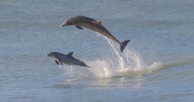 Jumping for joy