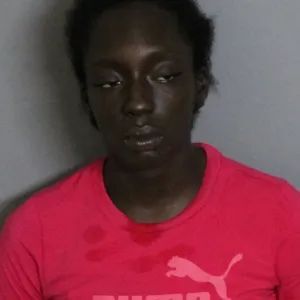 Eight arrested in Punta Gorda drug bust | Port Charlotte News | yoursun.com