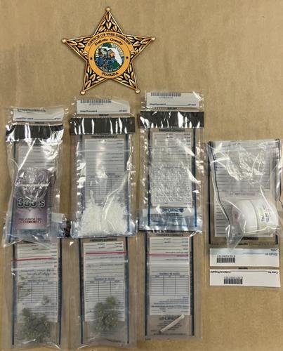 Traffic stop leads to drug bust in Arcadia | News | yoursun.com