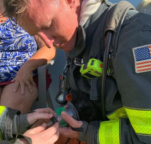 Firefighters rescue cat from house fire | News | yoursun.com