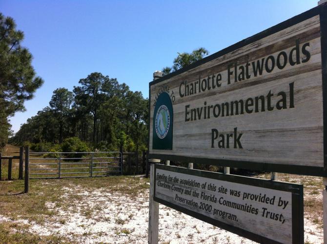 Undercover sex operation arrests man for genital exposure The Daily