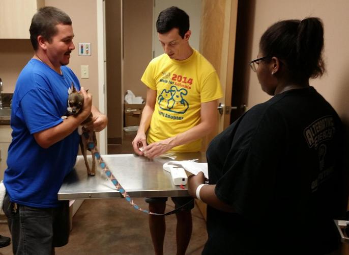 Full of dogs and cats Newsarchives