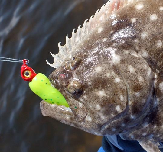 MirrOlure’s Lil John Flounder candy Waterline