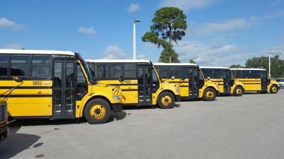 School buses (copy)