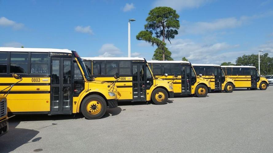 School buses (copy)