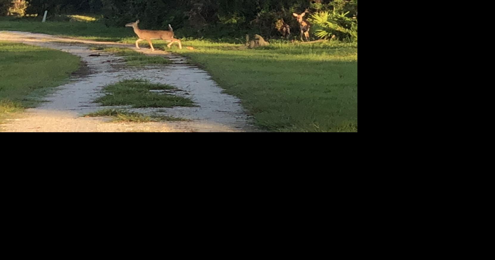 Running at Walton Ranch | Daily Break | yoursun.com