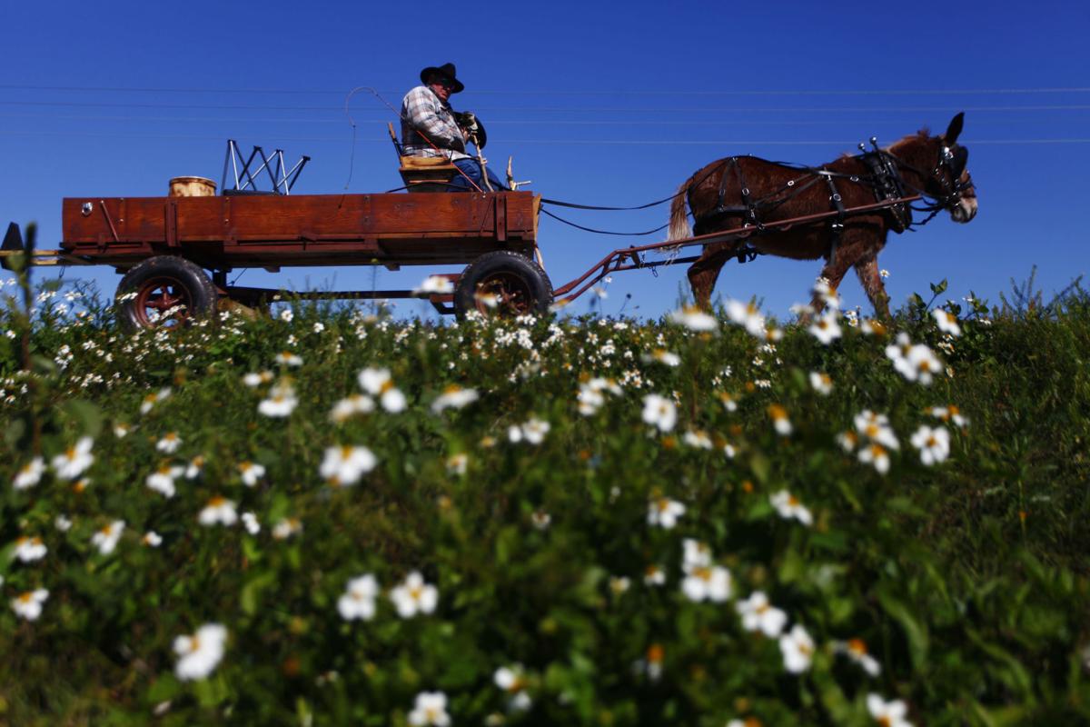 Cracker Trail ride traverses county today Highlands NewsSun