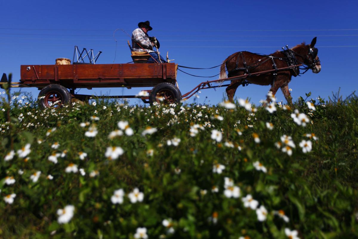 Cracker Trail ride traverses county today Highlands NewsSun