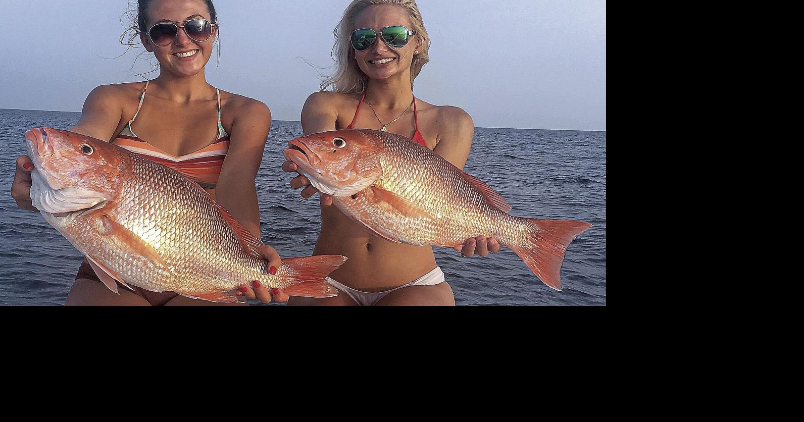 More snapper than we thought | Waterline | yoursun.com