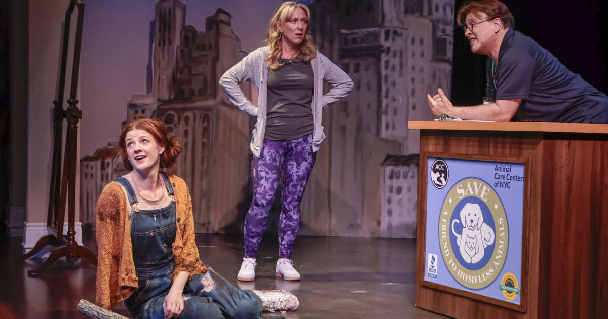 Charming 'Dog Mom' opens at Florida Studio Theatre