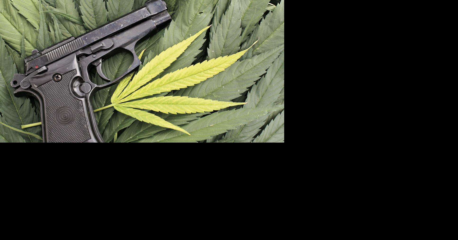 Guns and ganja Waterline