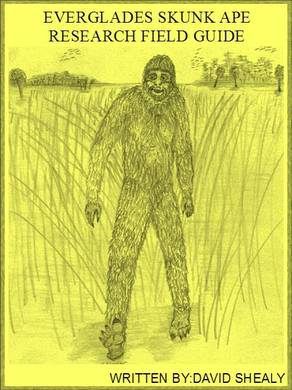 6 Skunk Ape sightings in Charlotte, 8 in Sarasota. Are you a believer