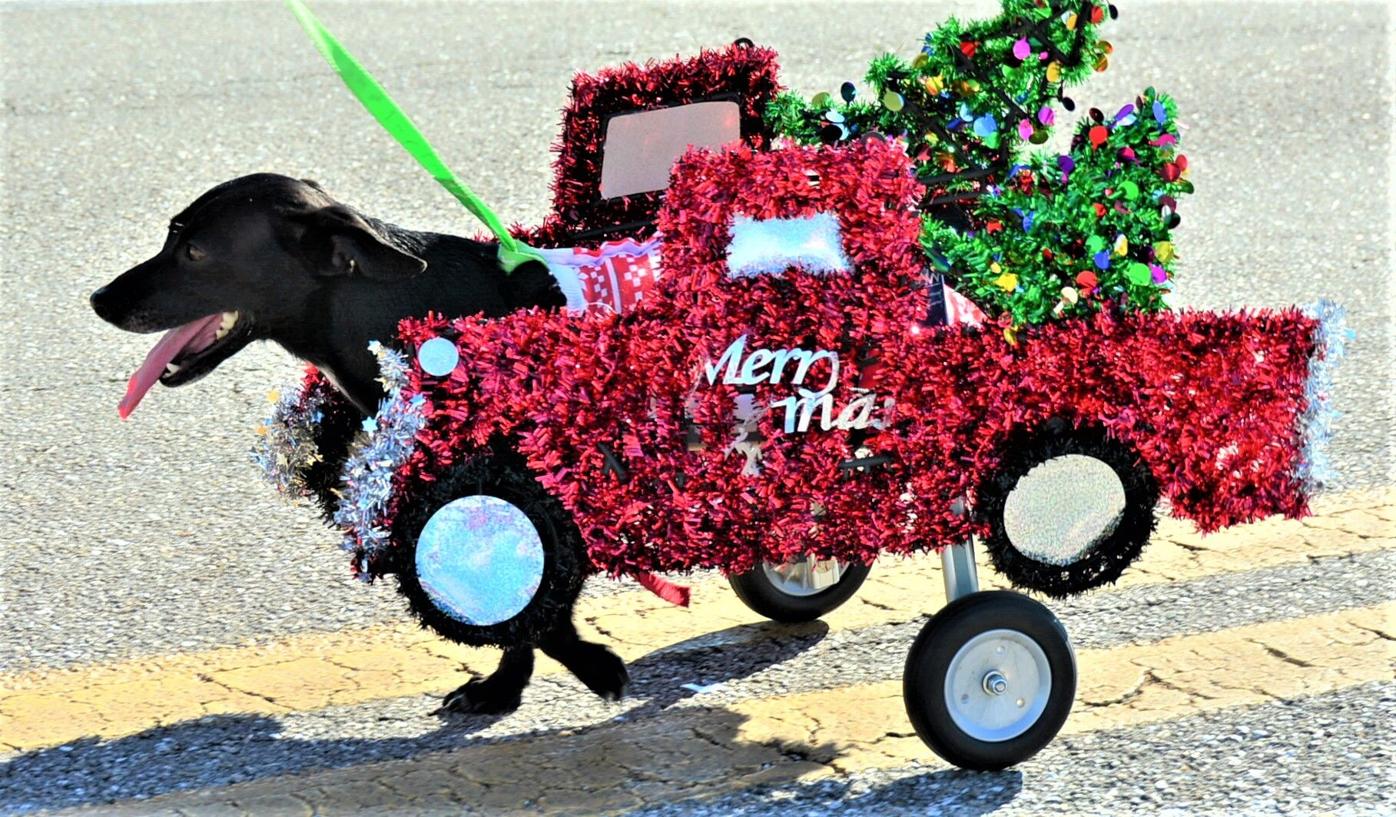 Gonzales Christmas Parade 2022 Route The Rotonda West Christmas Parade Rings In The Season | News | Yoursun.com