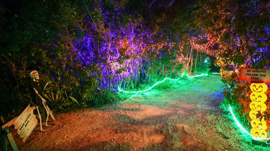 Encounter fantastically fun creations and unique Halloween light displays around every bend at