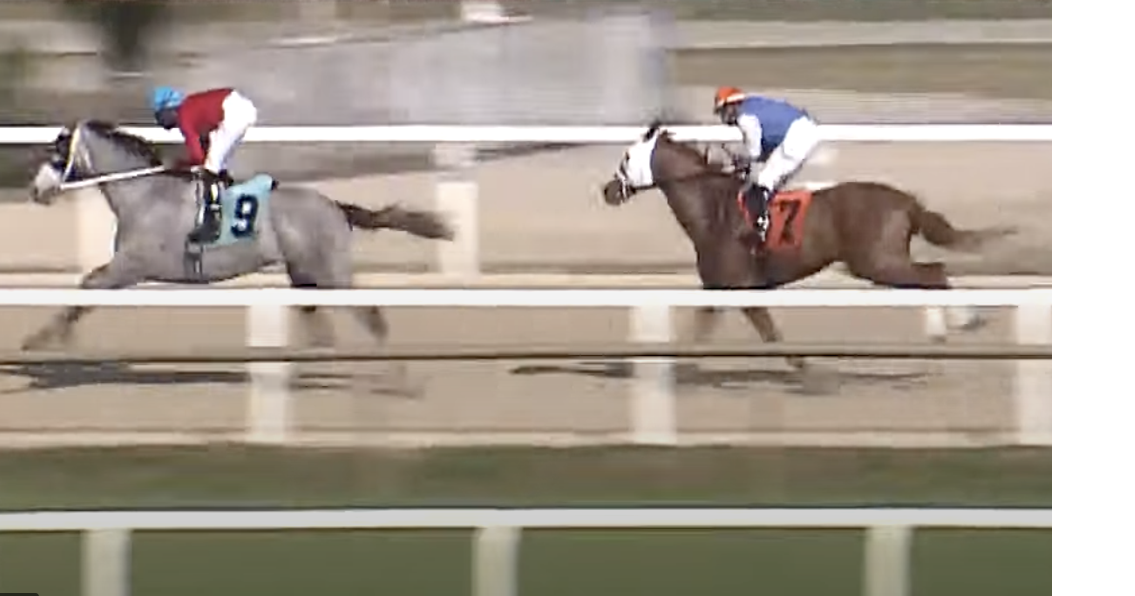 Florida lawmakers eye horse racing change