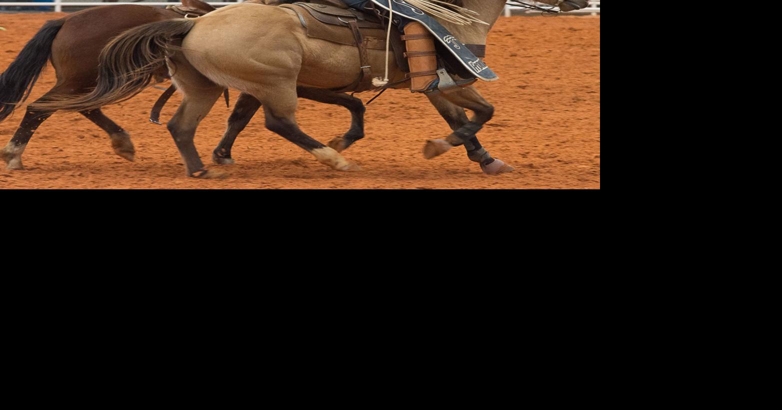 Arcadia Rodeo round-up, Casey Williams photo gallery | Featured ...