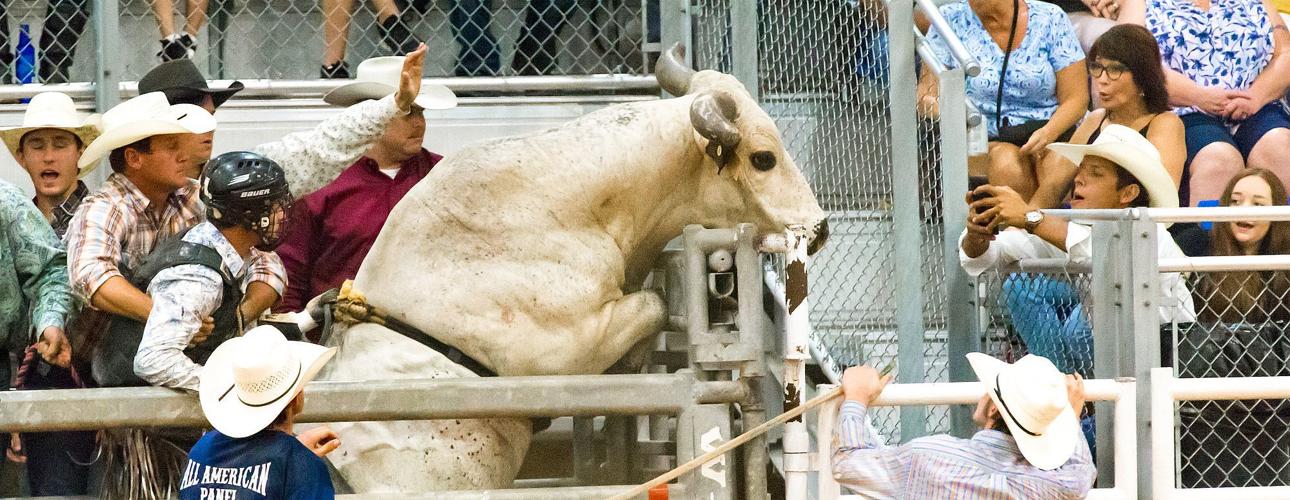 Arcadia Fall Rodeo this weekend with freestyle bullfighting, more