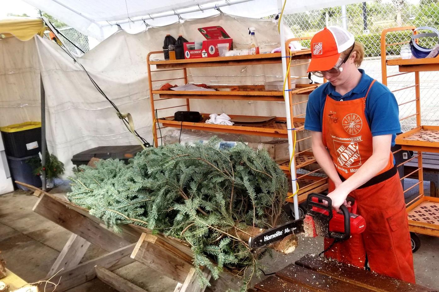 It S Christmas Tree Shopping Time News Yoursun Com